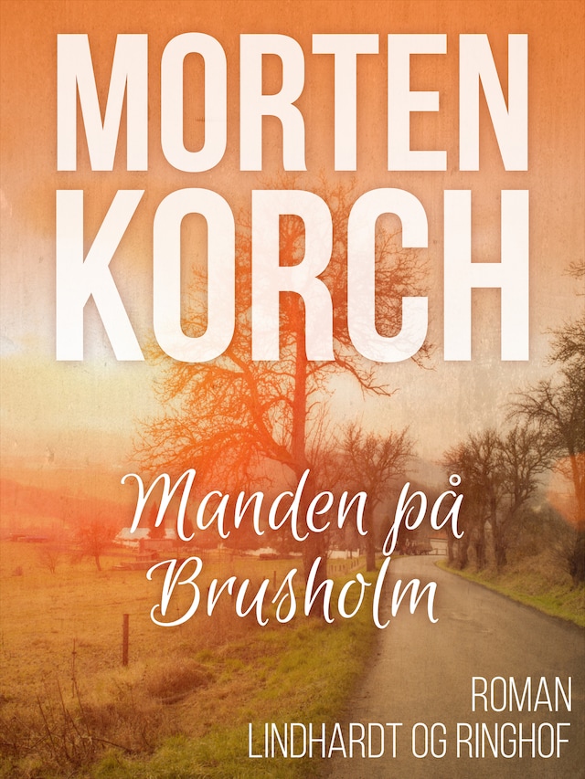 Buchcover für Manden på Brusholm
