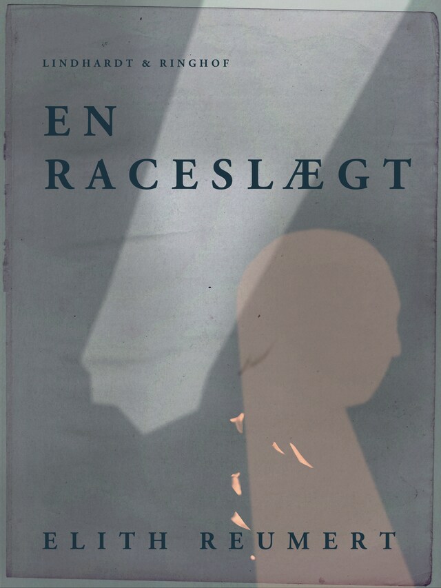 Book cover for En raceslægt