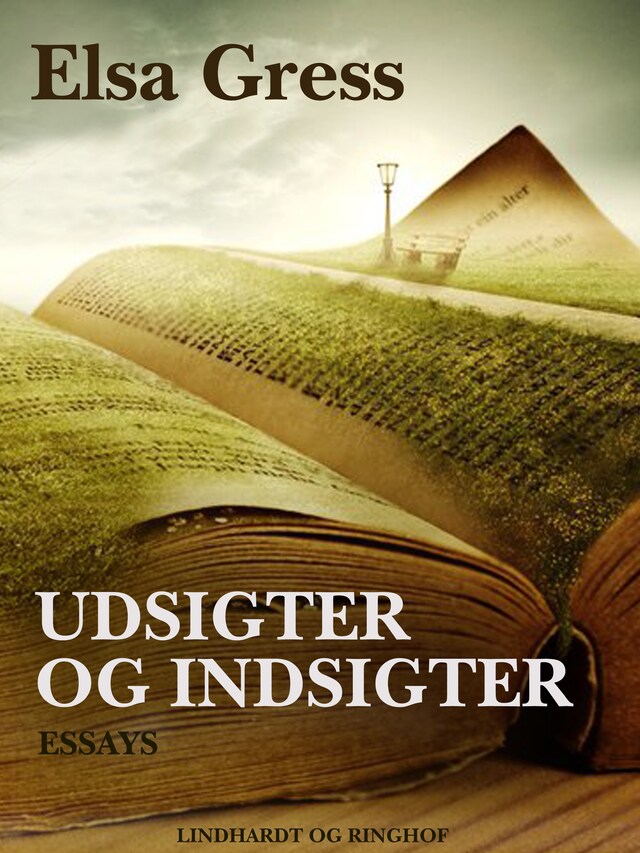 Bogomslag for Udsigter og indsigter