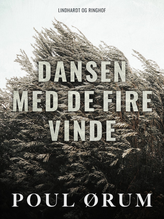 Okładka książki dla Dansen med de fire vinde