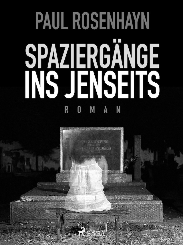 Book cover for Spaziergänge ins Jenseits