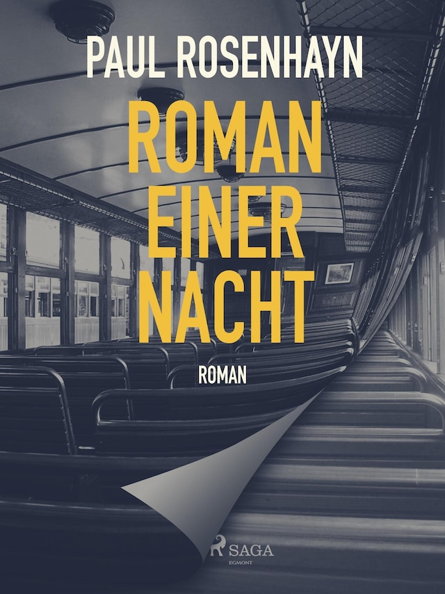 Book cover for Roman einer Nacht