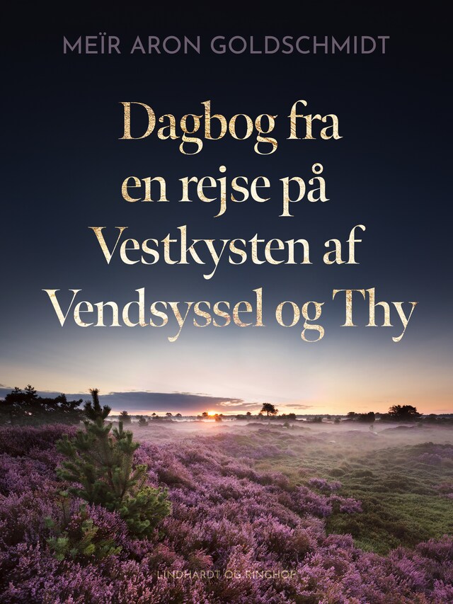 Bogomslag for Dagbog fra en rejse på Vestkysten af Vendsyssel og Thy