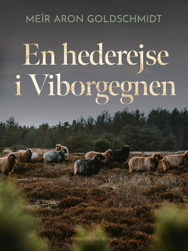 Bogomslag for En hederejse i Viborgegnen