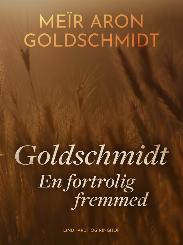 Boekomslag van Goldschmidt. En fortrolig fremmed