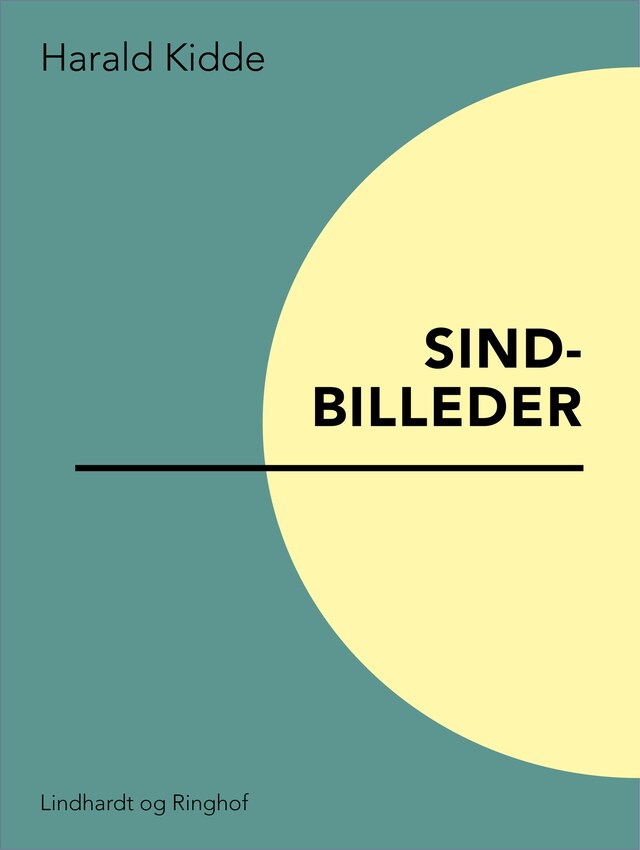 Bogomslag for Sindbilleder