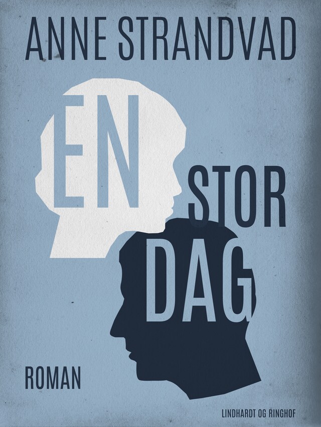 Bogomslag for En stor dag