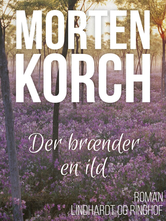 Book cover for Der brænder en ild