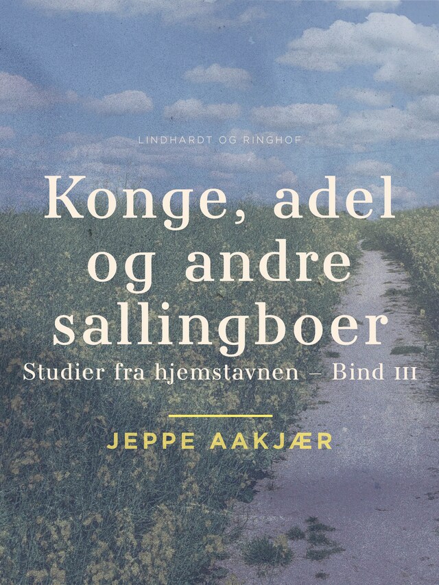 Buchcover für Konge, adel og andre sallingboer: Studier fra hjemstavnen