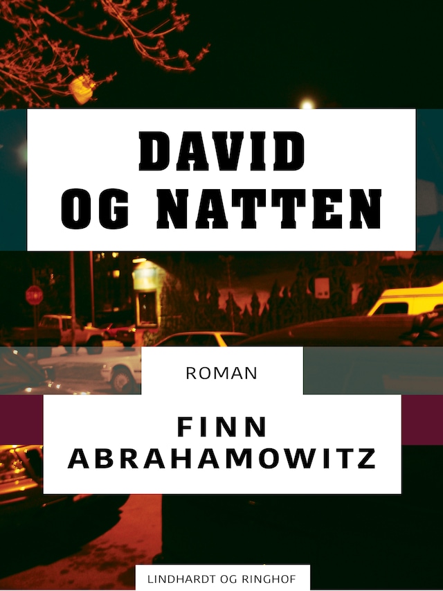 Book cover for David og natten