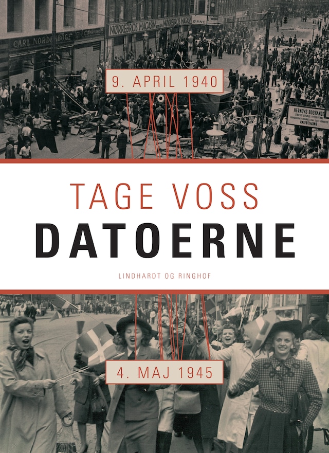 Book cover for Datoerne