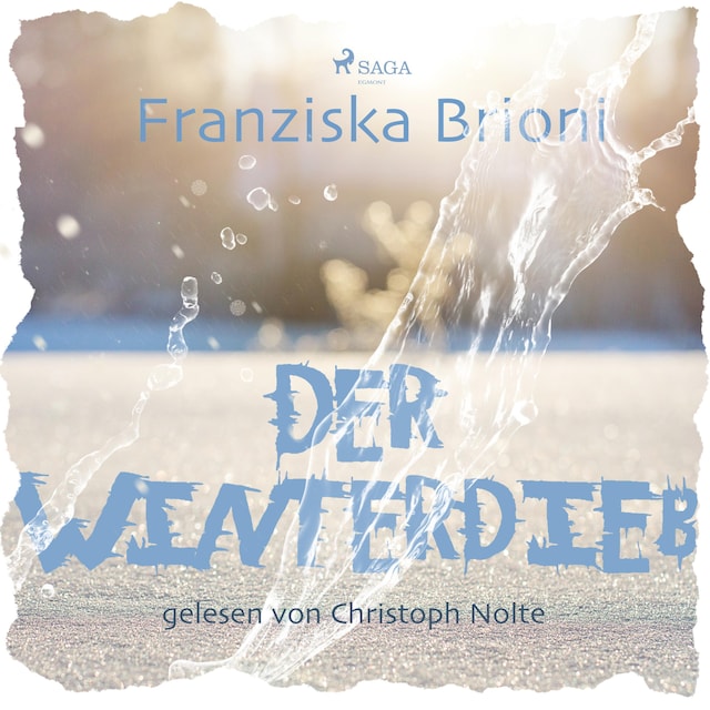 Book cover for Der Winterdieb