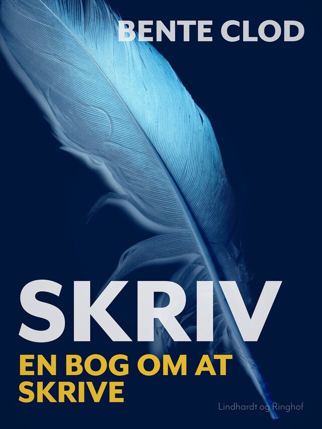 Bogomslag for Skriv: En bog om at skrive