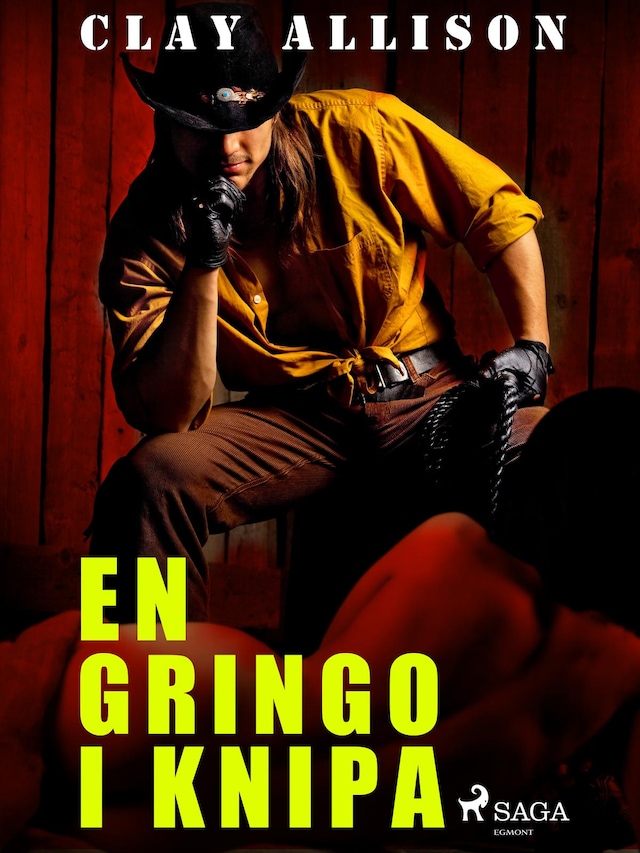 Okładka książki dla En gringo i knipa