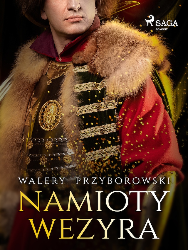 Book cover for Namioty Wezyra
