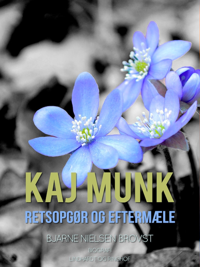 Book cover for Kaj Munk. Retsopgør og eftermæle