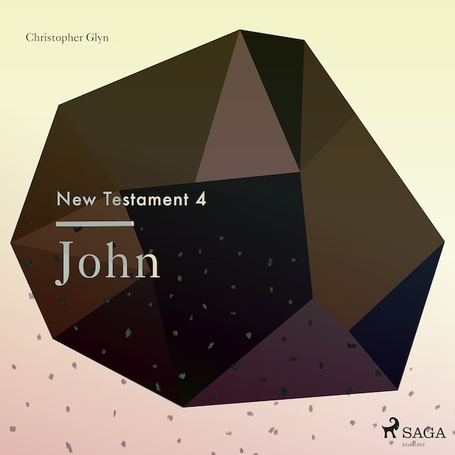 Book cover for The New Testament 4 - John