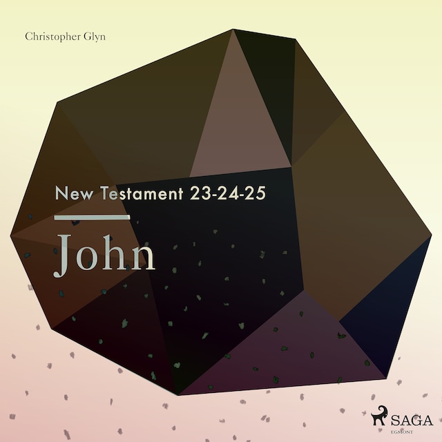 Book cover for The New Testament 23-24-25 - John