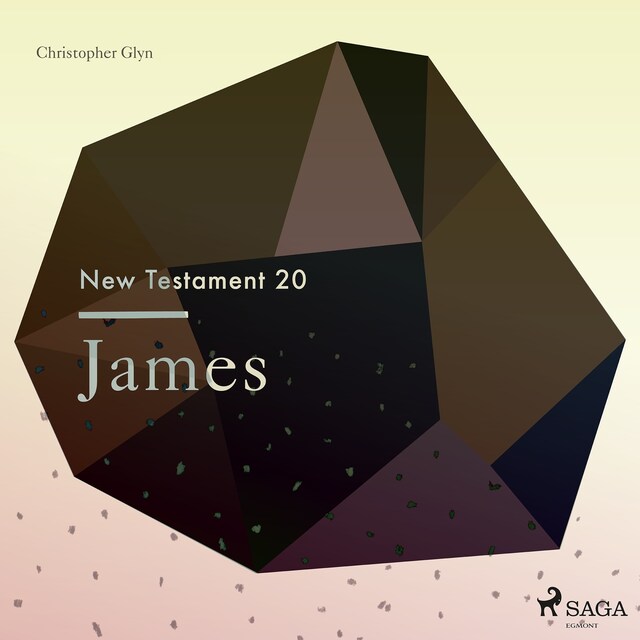 Book cover for The New Testament 20 - James