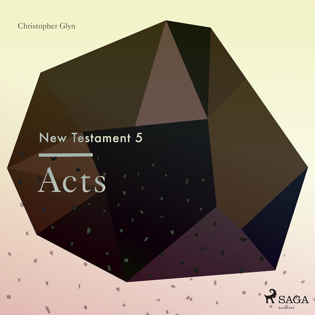 Okładka książki dla The New Testament 5 - Acts
