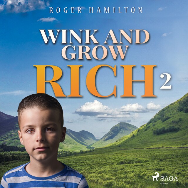 Boekomslag van Wink and Grow Rich 2
