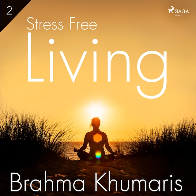Book cover for Stress Free Living 2