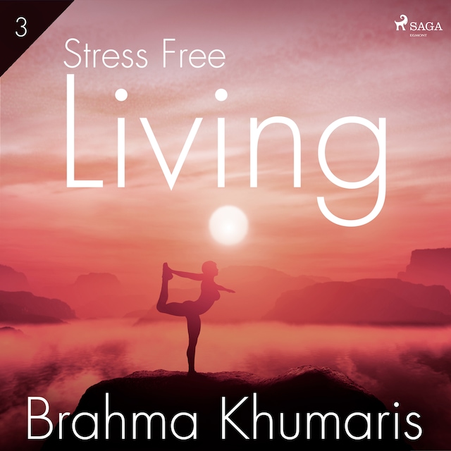 Book cover for Stress Free Living 3
