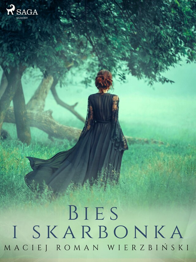 Book cover for Bies i skarbonka