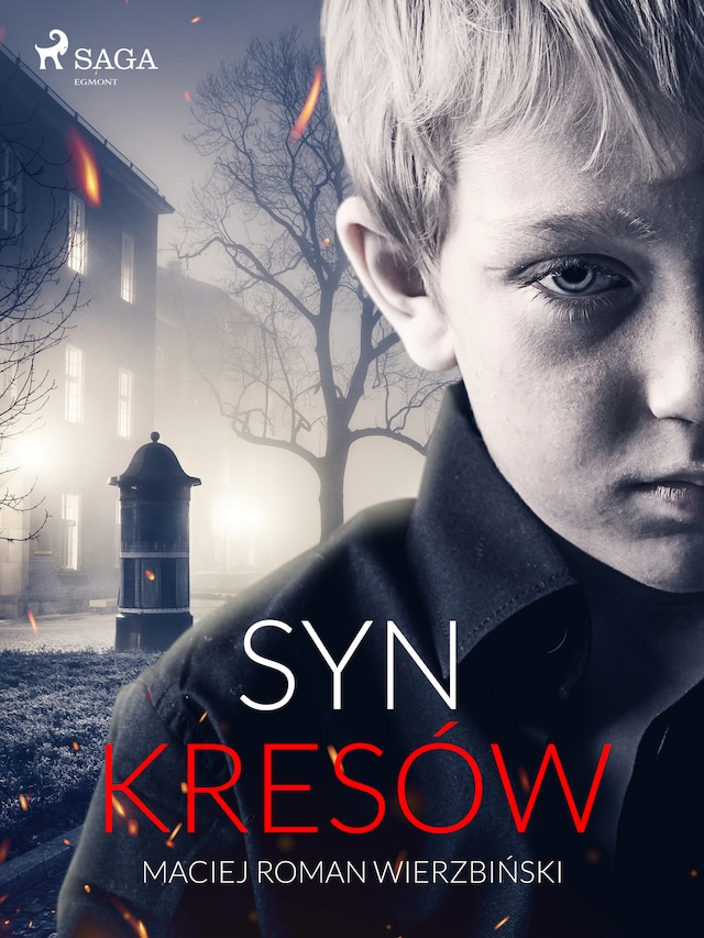 Book cover for Syn Kresów