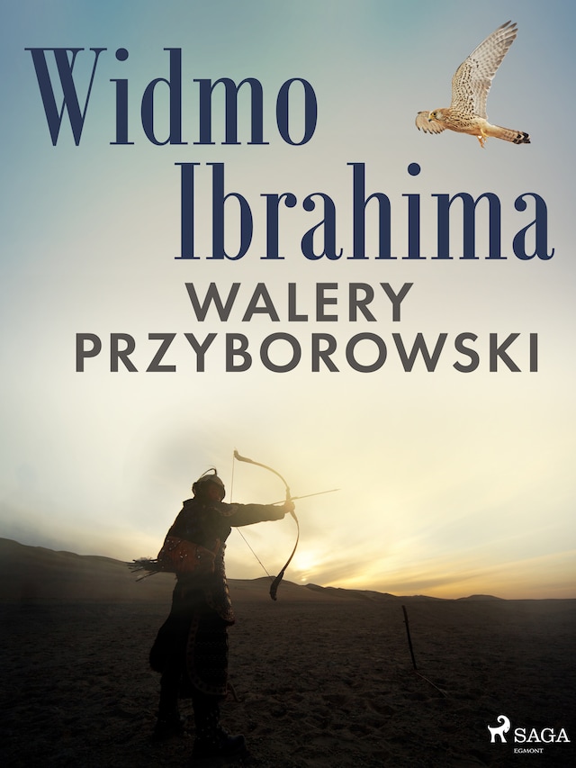 Book cover for Widmo Ibrahima