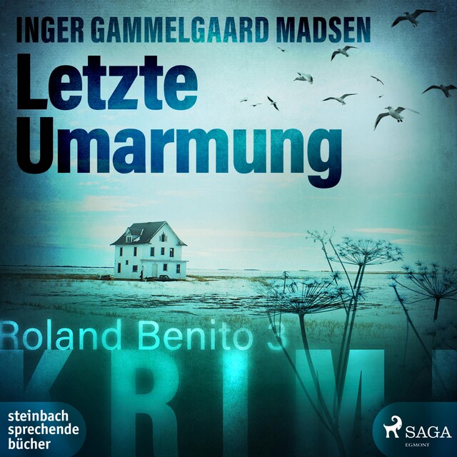 Book cover for Letzte Umarmung - Roland Benito-Krimi 3