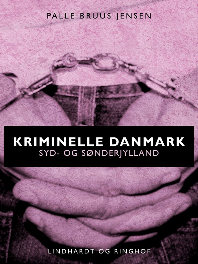 Boekomslag van Kriminelle Danmark. Syd & Sønderjylland