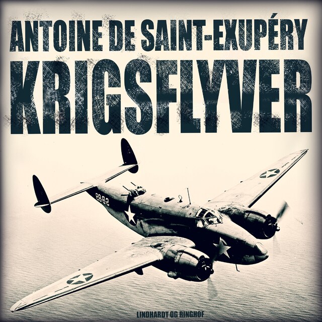 Book cover for Krigsflyver