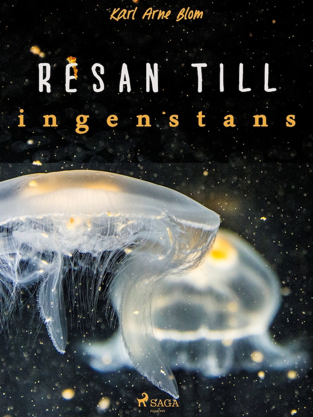 Book cover for Resan till ingenstans