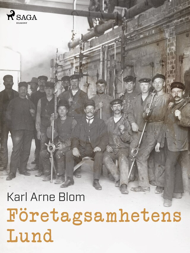 Book cover for Företagsamhetens Lund