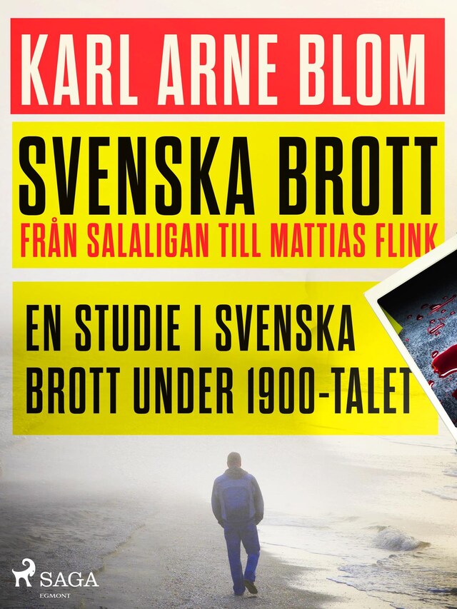 Svenska brott - från Salaligan till Mattias Flink: en studie i svenska brott under 1900-talet