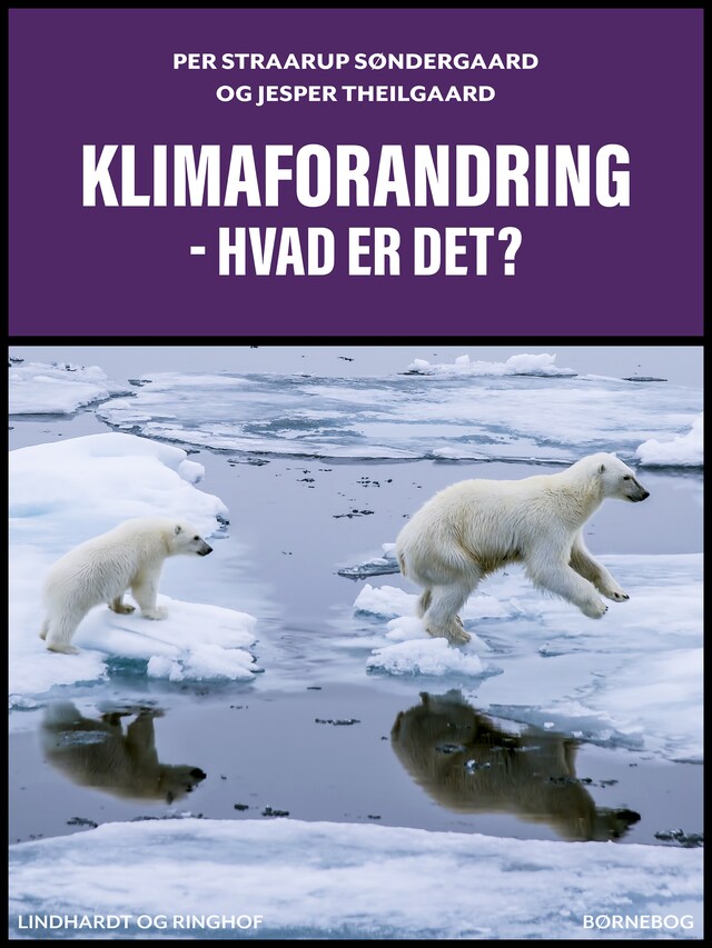 Bogomslag for Klimaforandring – hvad er det?