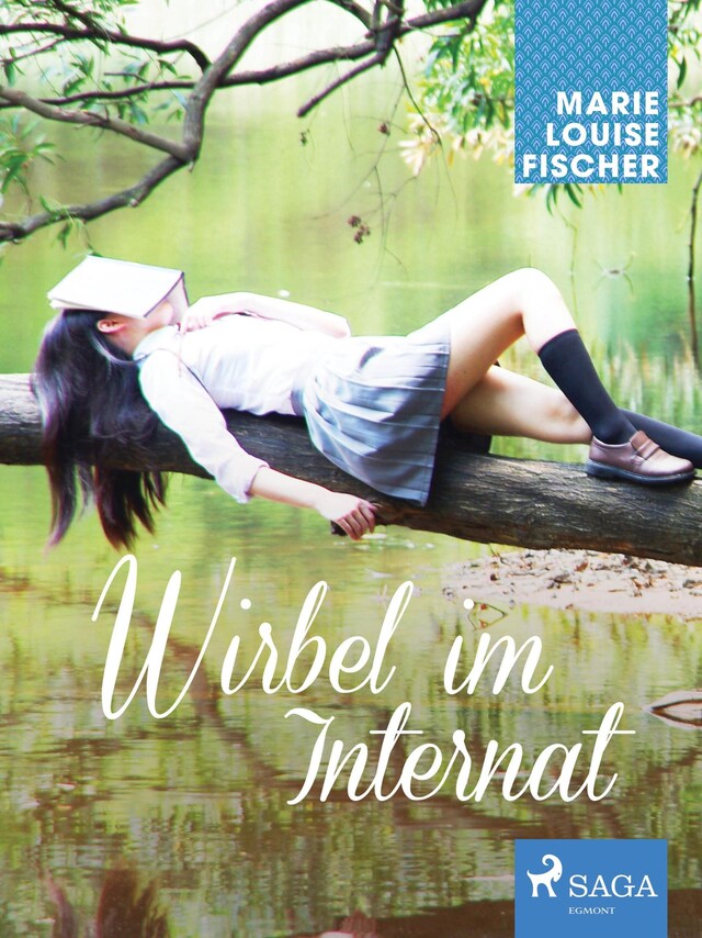 Couverture de livre pour Wirbel im Internat