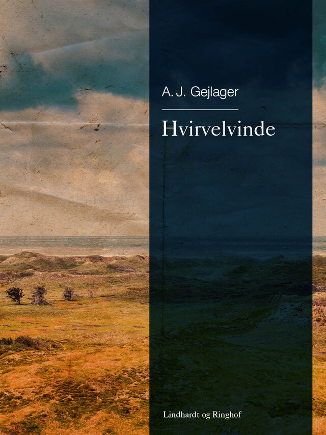 Buchcover für Hvirvelvinde