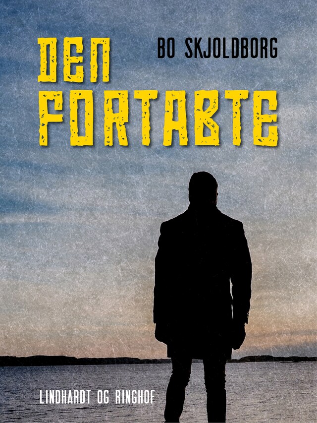 Bogomslag for Den fortabte