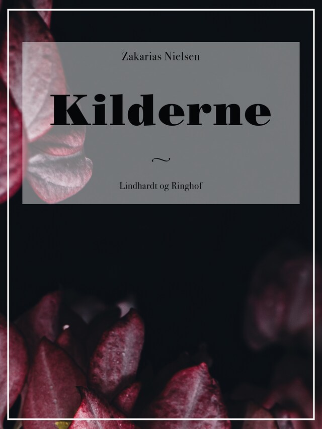 Book cover for Kilderne