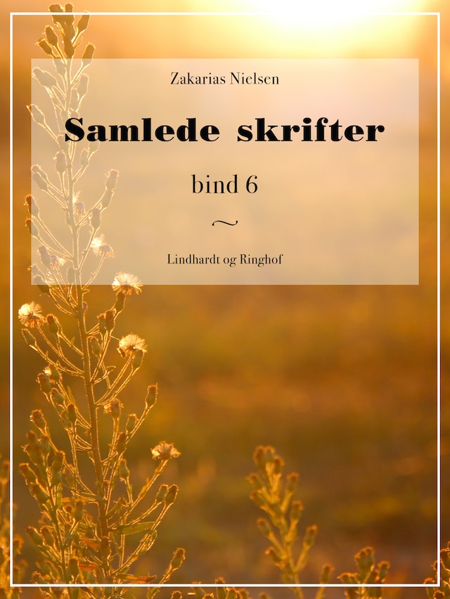 Book cover for Samlede skrifter. Bind 6