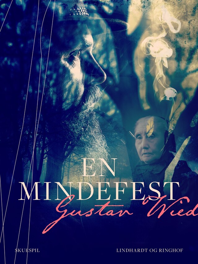 Book cover for En mindefest