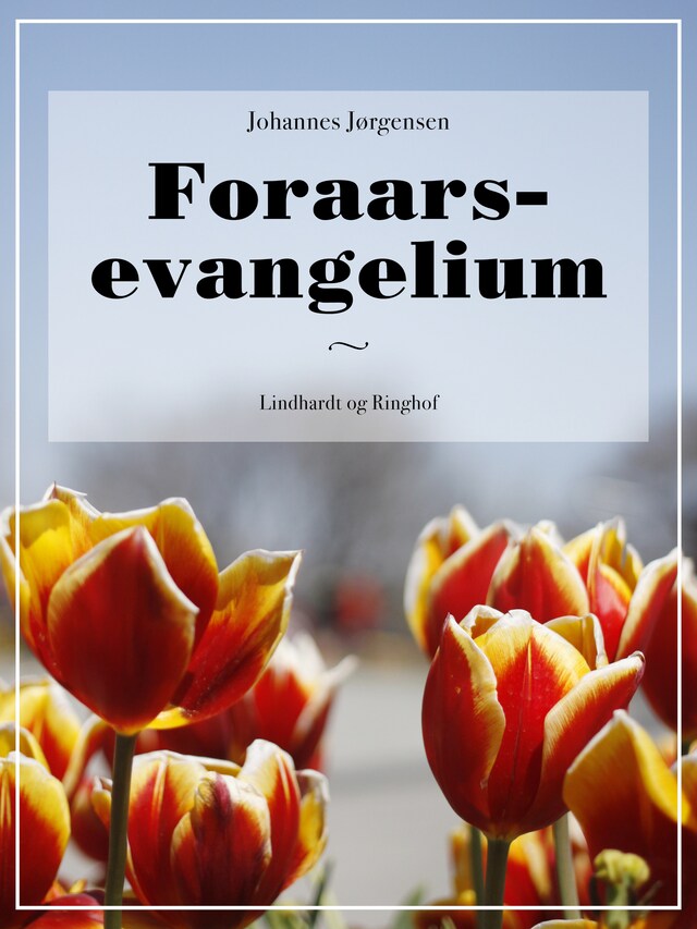 Bogomslag for Foraars-evangelium