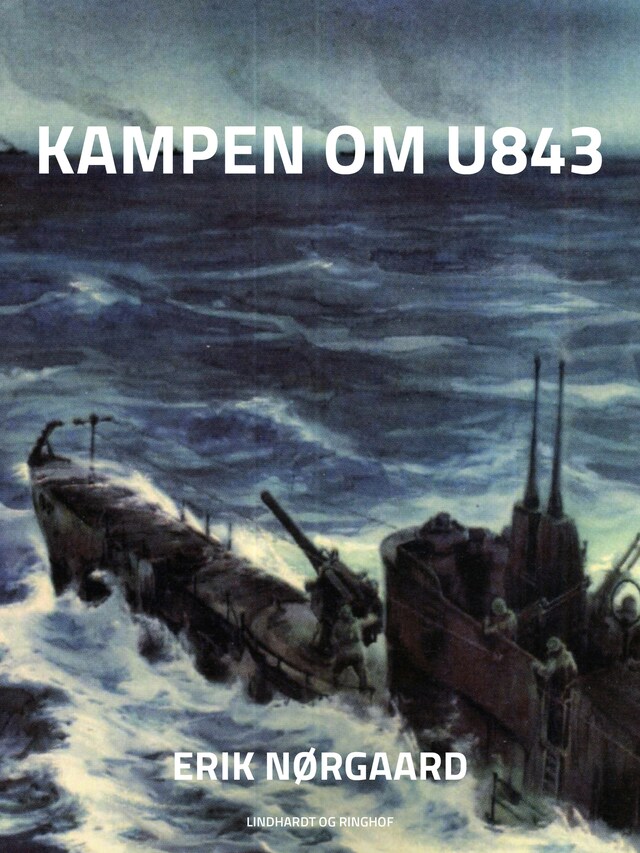 Bogomslag for Kampen om U 843