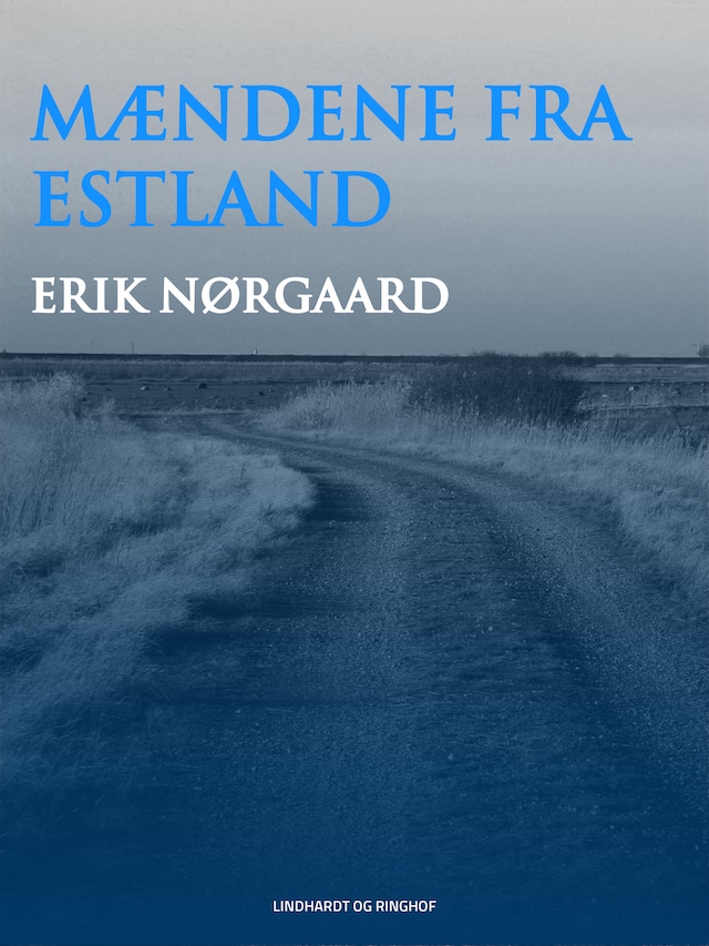 Book cover for Mændene fra Estland