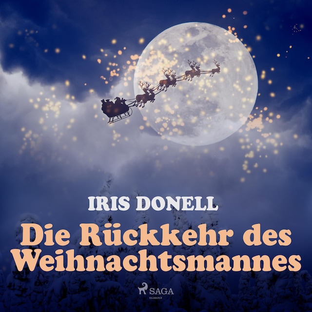 Book cover for Die Rückkehr des Weihnachtsmannes (Ungekürzt)