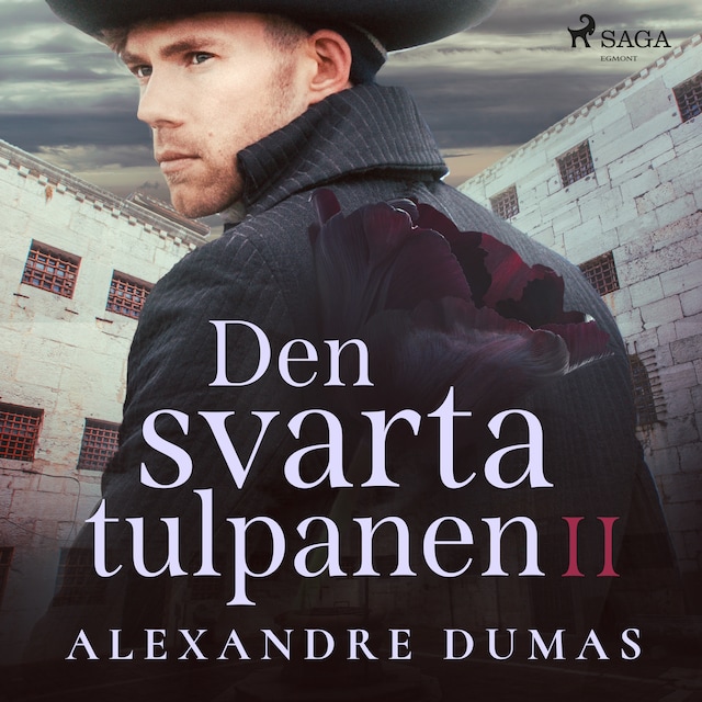 Book cover for Den svarta tulpanen II