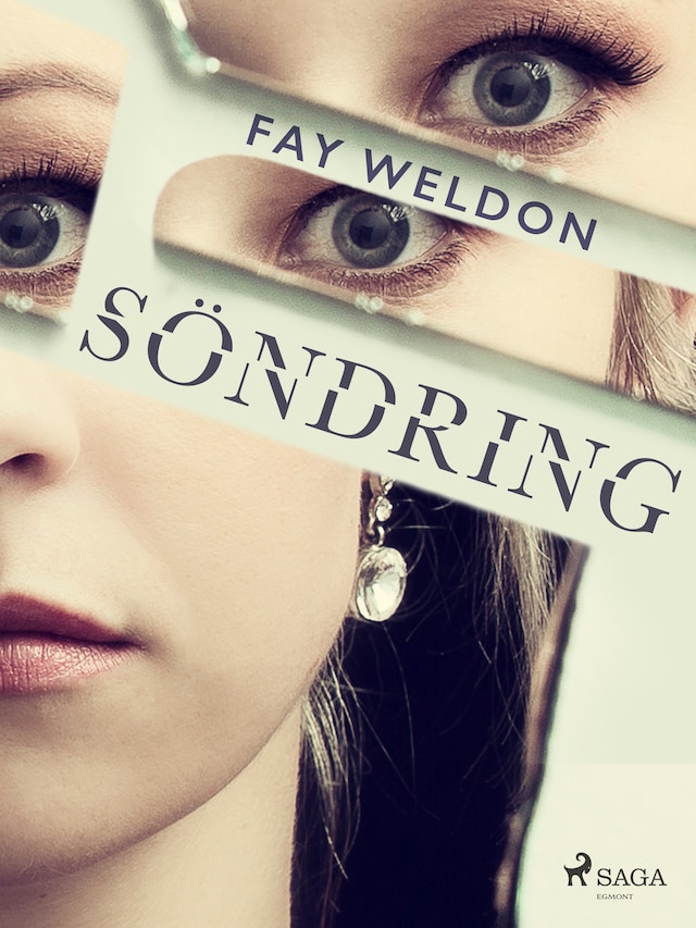 Book cover for Söndring