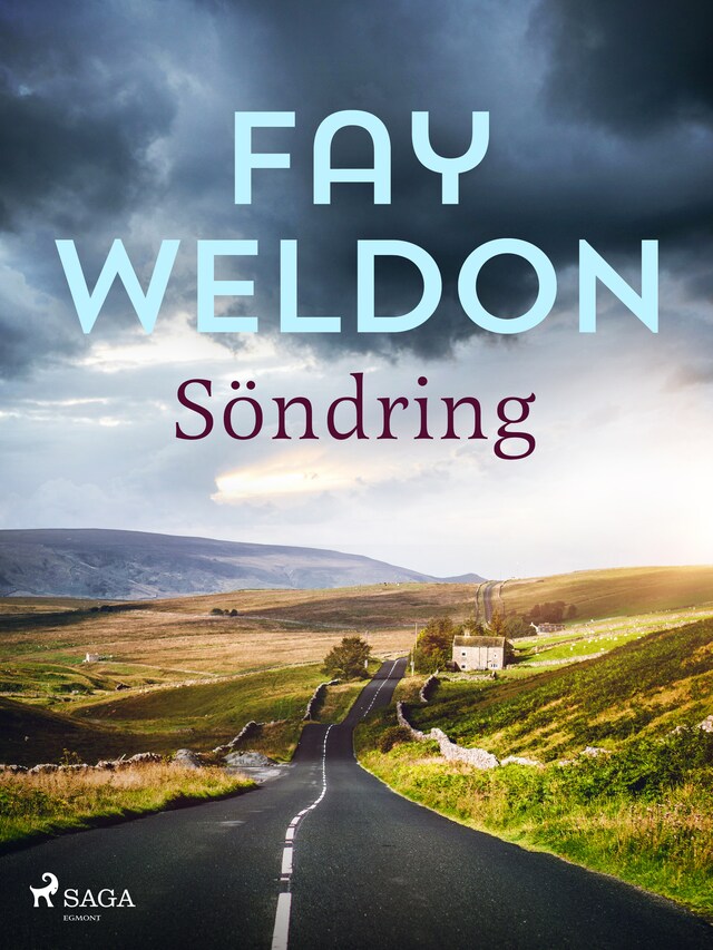 Book cover for Söndring